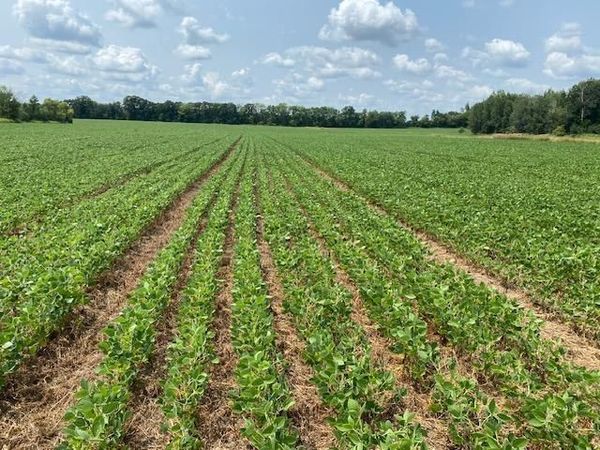 TBD 160th St., Foreston, MN 56330