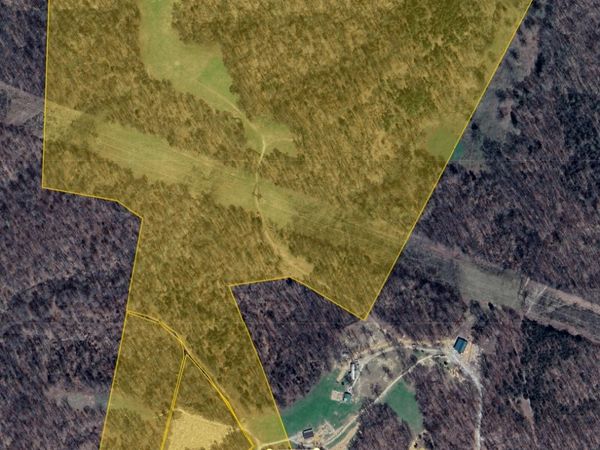 900 Norris Hollow Rd, Vanleer, TN 37181