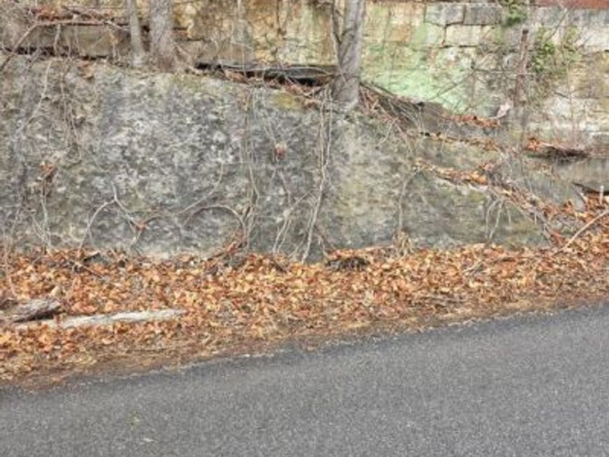 Rockdale Road, Clear Spring, MD 21722 Main Photo