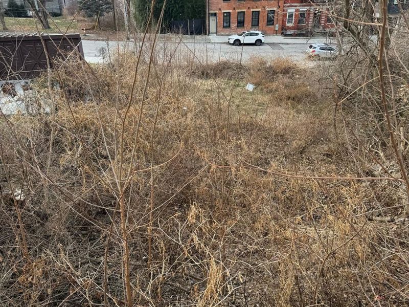 318 Seitz Street, Cincinnati, OH 45202 Photo 2