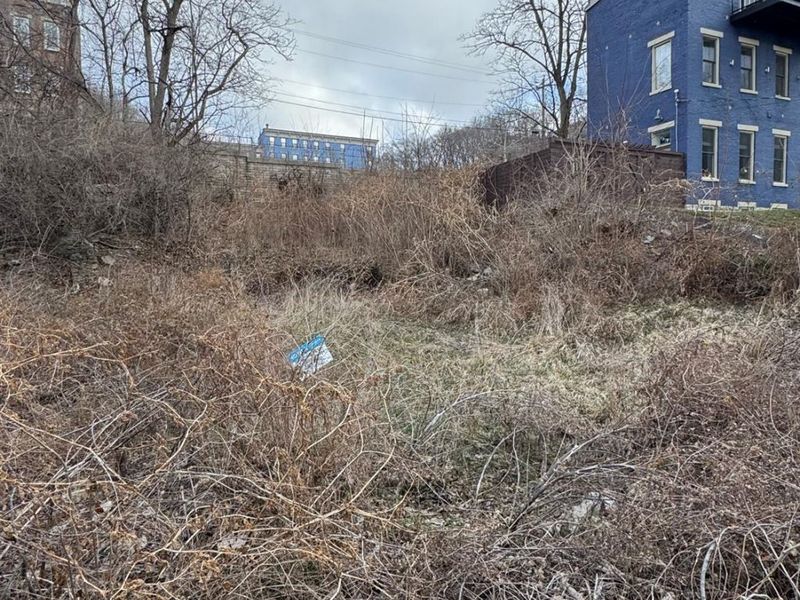 318 Seitz Street, Cincinnati, OH 45202 Photo 7
