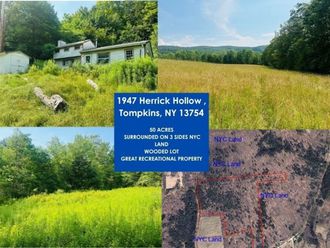 1947 Herrick Hollow Road Tompkins, NY 13804