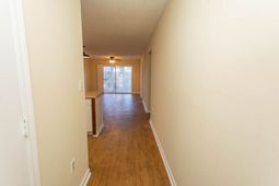 3681 Clay Pond Village Ln. photo 4