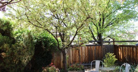 3647 Lepus Drive, Sparks, NV 89436 Photo