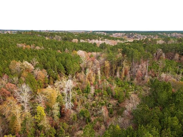 00 County Road 1247 , Center, TX 75935