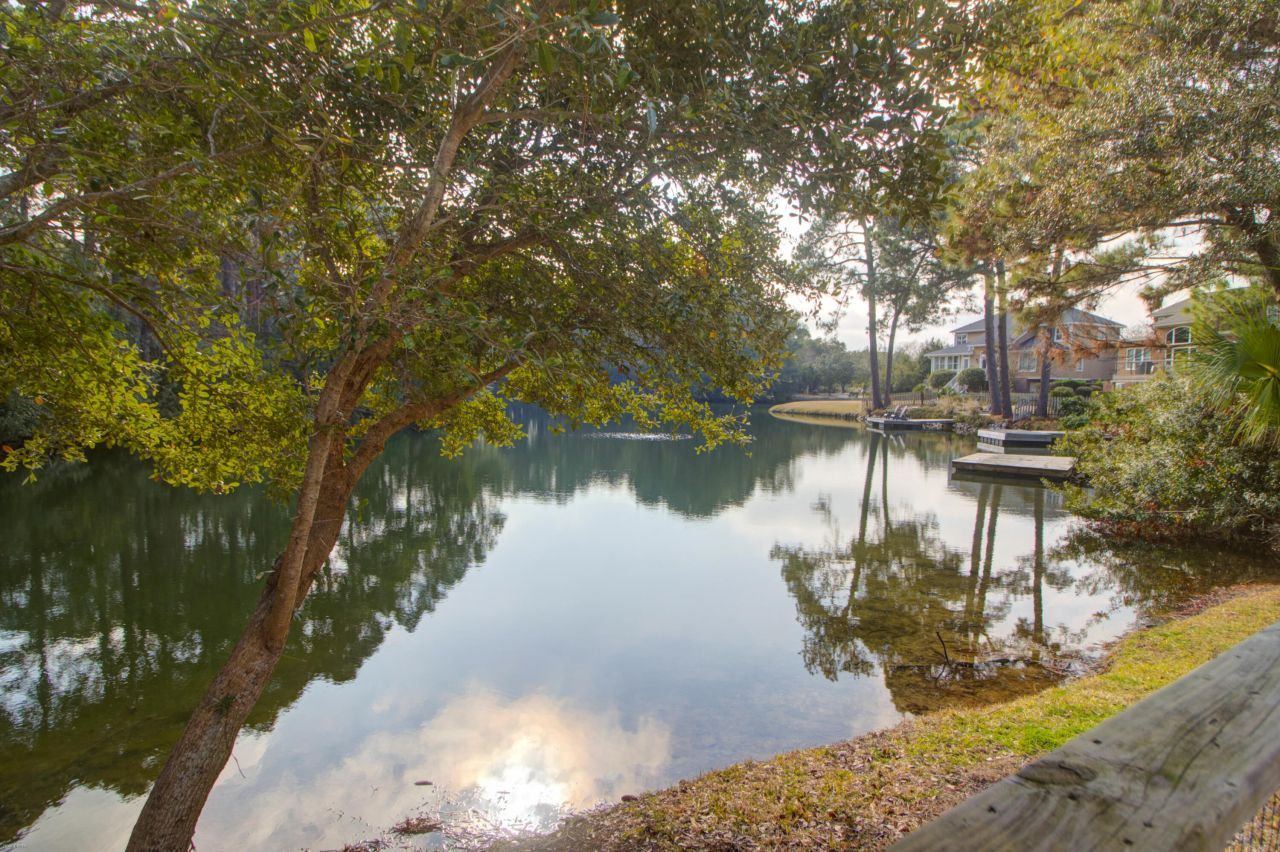 1173 Sea Eagle Watch Photo 40