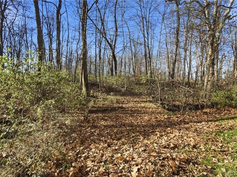 2457 Martinsville Road, Clark Township, OH 45146 Photo 60