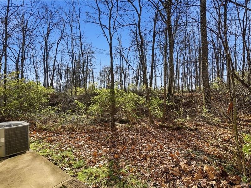 2457 Martinsville Road, Clark Township, OH 45146 Photo 61