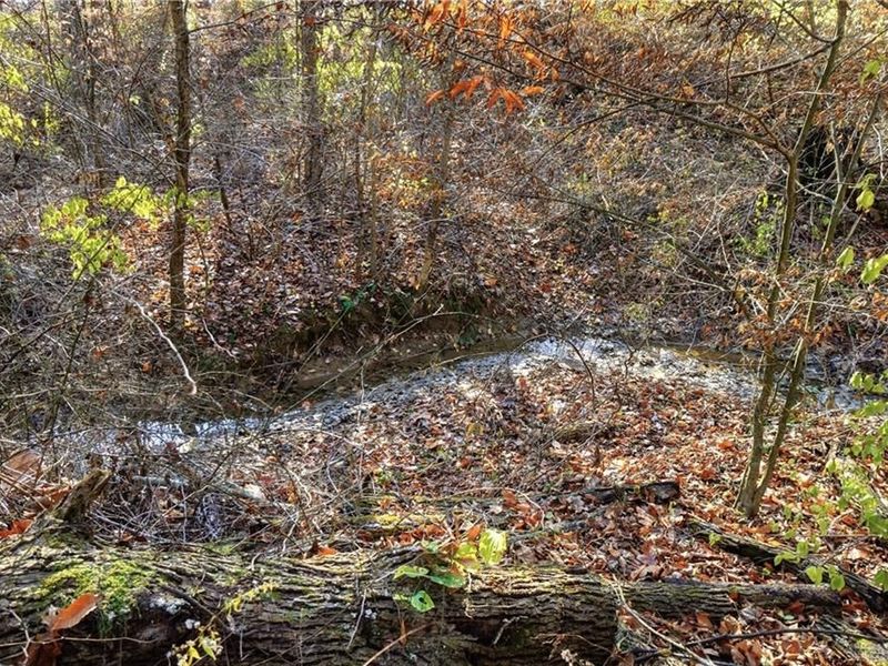 2457 Martinsville Road, Clark Township, OH 45146 Photo 68