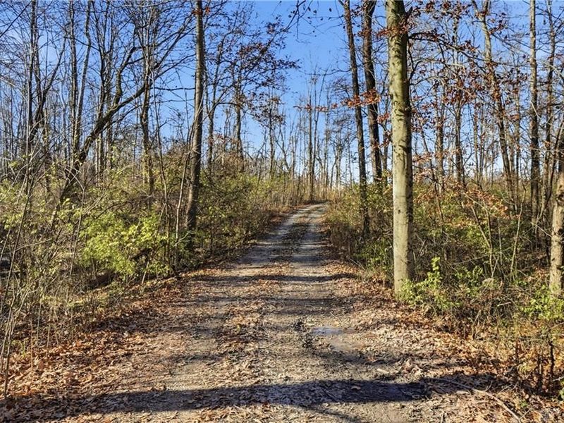 2457 Martinsville Road, Clark Township, OH 45146 Photo 69