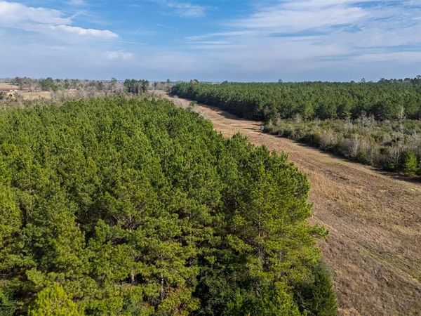 000 County Road 1245 , Center, TX 75935