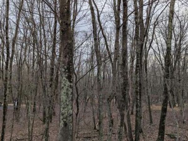 0 SENECA ROAD, ALBRIGHTSVILLE, PA 18210