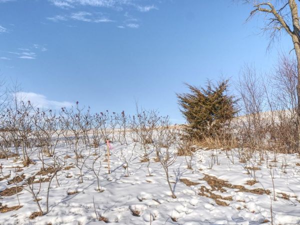 XXXX 80th Avenue , Mondovi, WI 54755