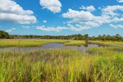 4760 Walking Horse Road photo 4