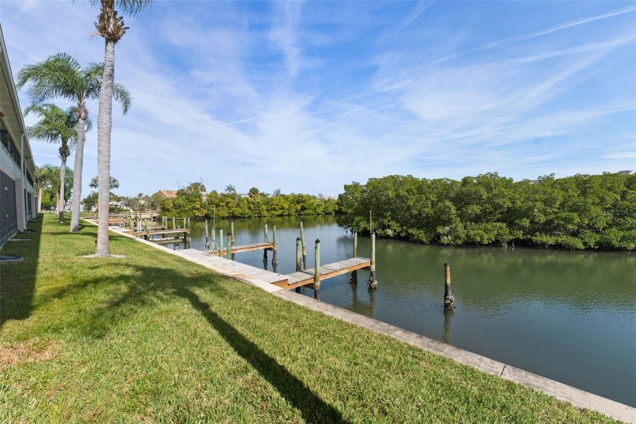 8806 Bay Pointe Drive, Unit 206, Tampa, FL 33615 Photo