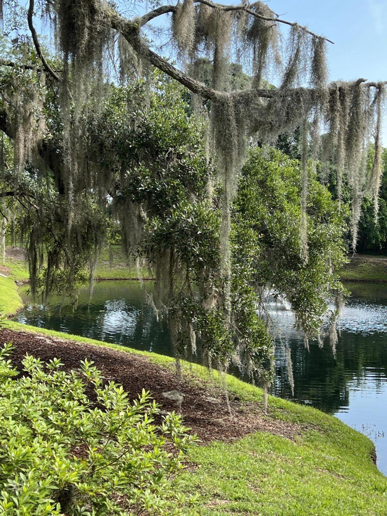 1421 Rosewood Lane Photo 33