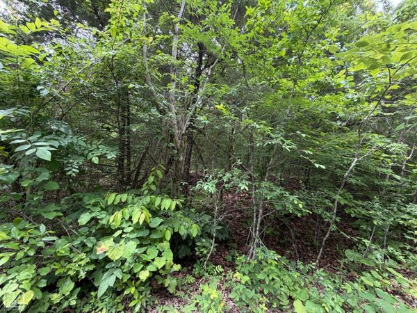 1 Clark Lane, Horseshoe Bend, AR 72512