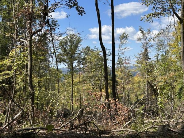 Lot 2 Crane School Road, Terra Alta, WV 26764