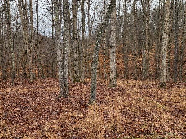 0 Riverwatch Trce , Sparta, TN 38583