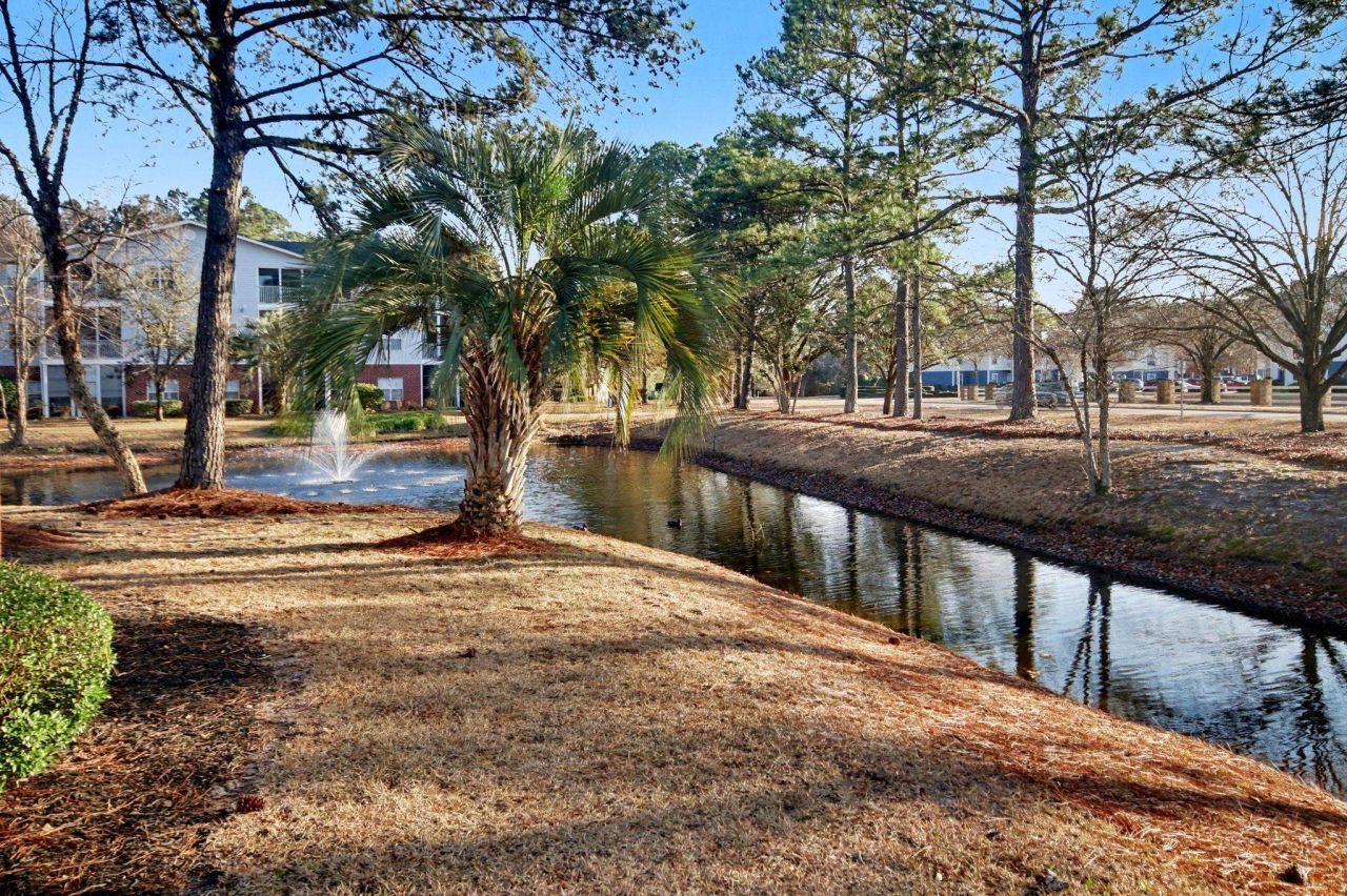 4853 Meadowsweet Dr. Photo 33