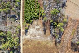 1445 Victory Lane photo 4