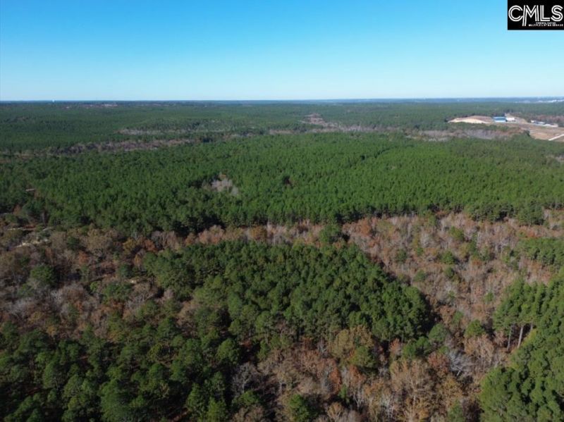 Kimmey Road  Photo 11