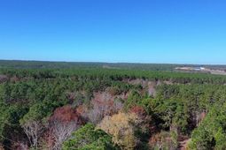 Kimmey Road  photo 4