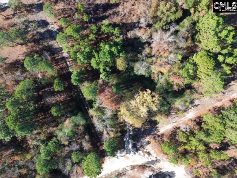 Kimmey Road  Photo 6