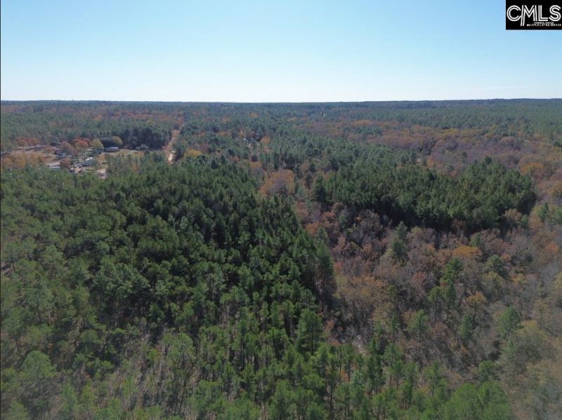 Kimmey Road  Photo 9