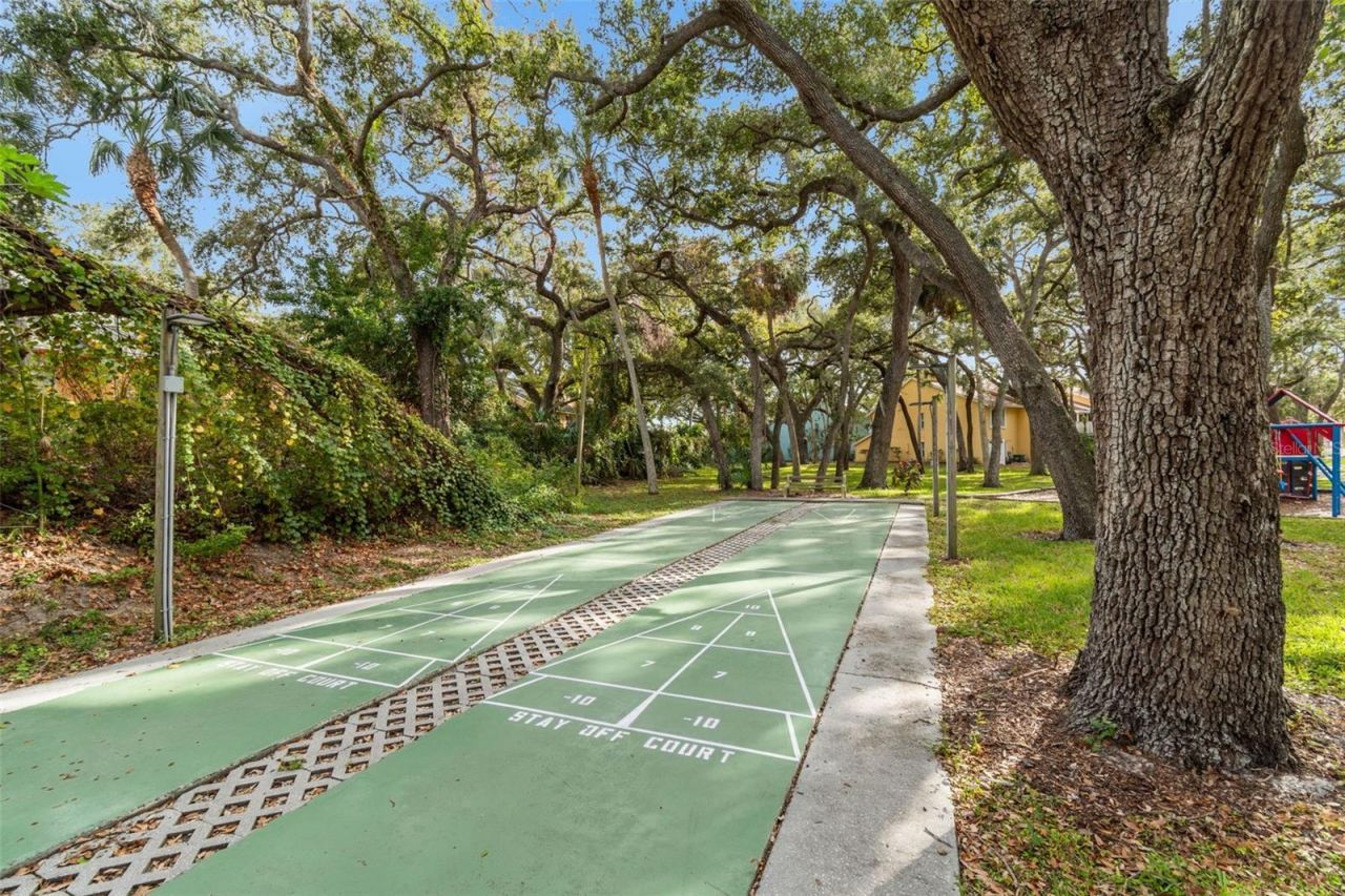 4160 35th Terrace S, Unit C, Saint Petersburg, FL 33711 Photo