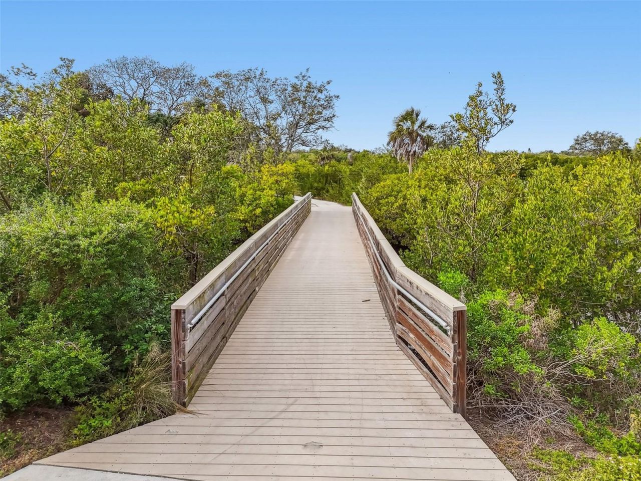 4160 35th Terrace S, Unit C, Saint Petersburg, FL 33711 Photo