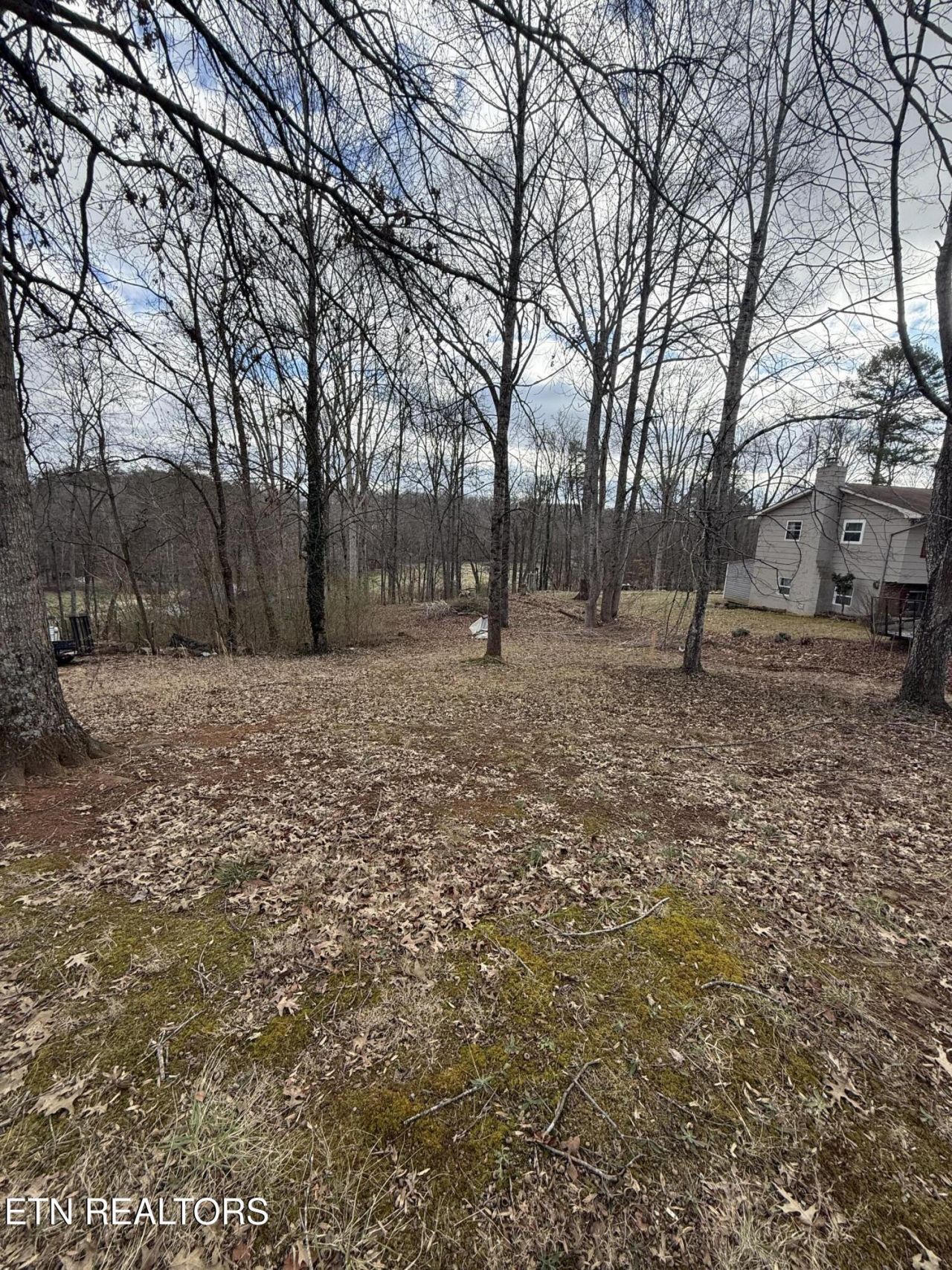 Melissa Lane, Maryville, TN 37801 Main Photo