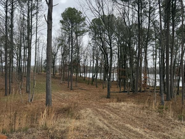 0 Stately Oak Dr, Huntingdon, TN 38344