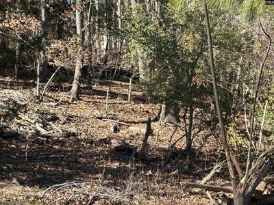 110 Lake Summit Drive , Chapin, SC 29036