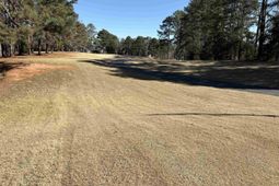 110 Lake Summit Drive  photo 4