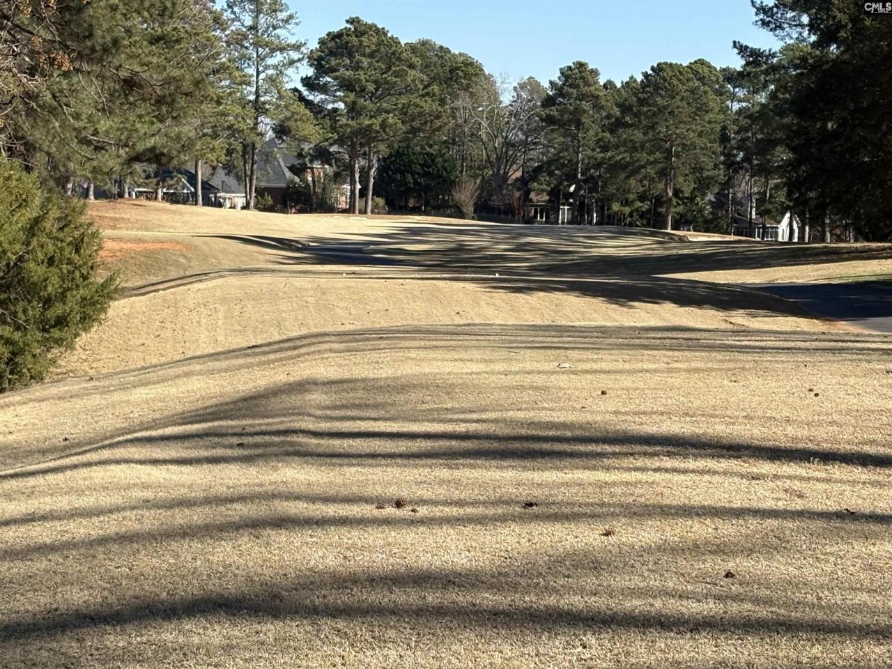 110 Lake Summit Drive  Photo 4