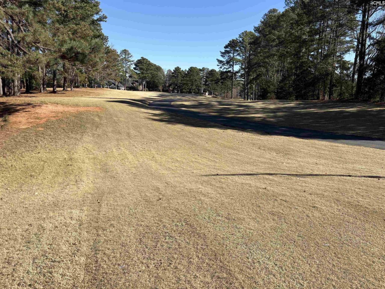 110 Lake Summit Drive  Photo 6