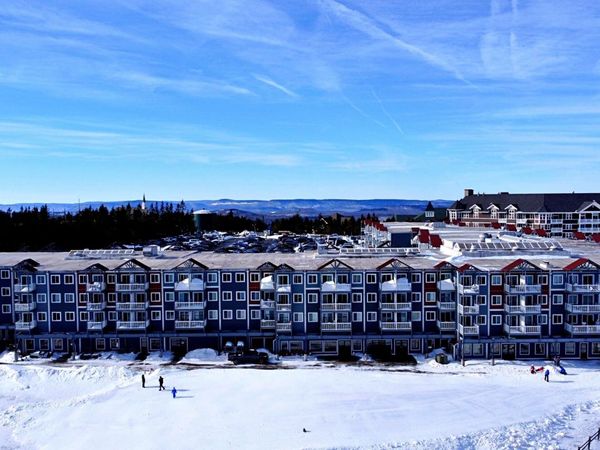 294 Mountain Lodge, Snowshoe, WV 26209