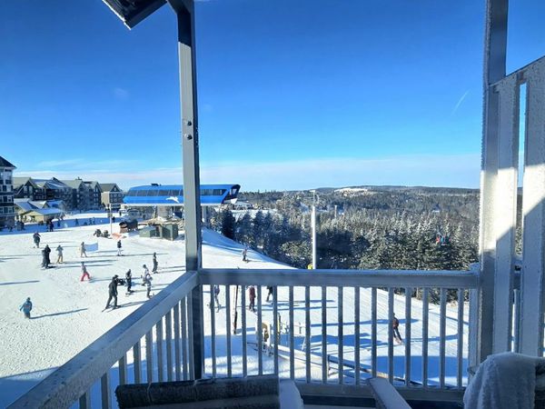 75 Mountain Lodge Ln, Snowshoe, WV 26209
