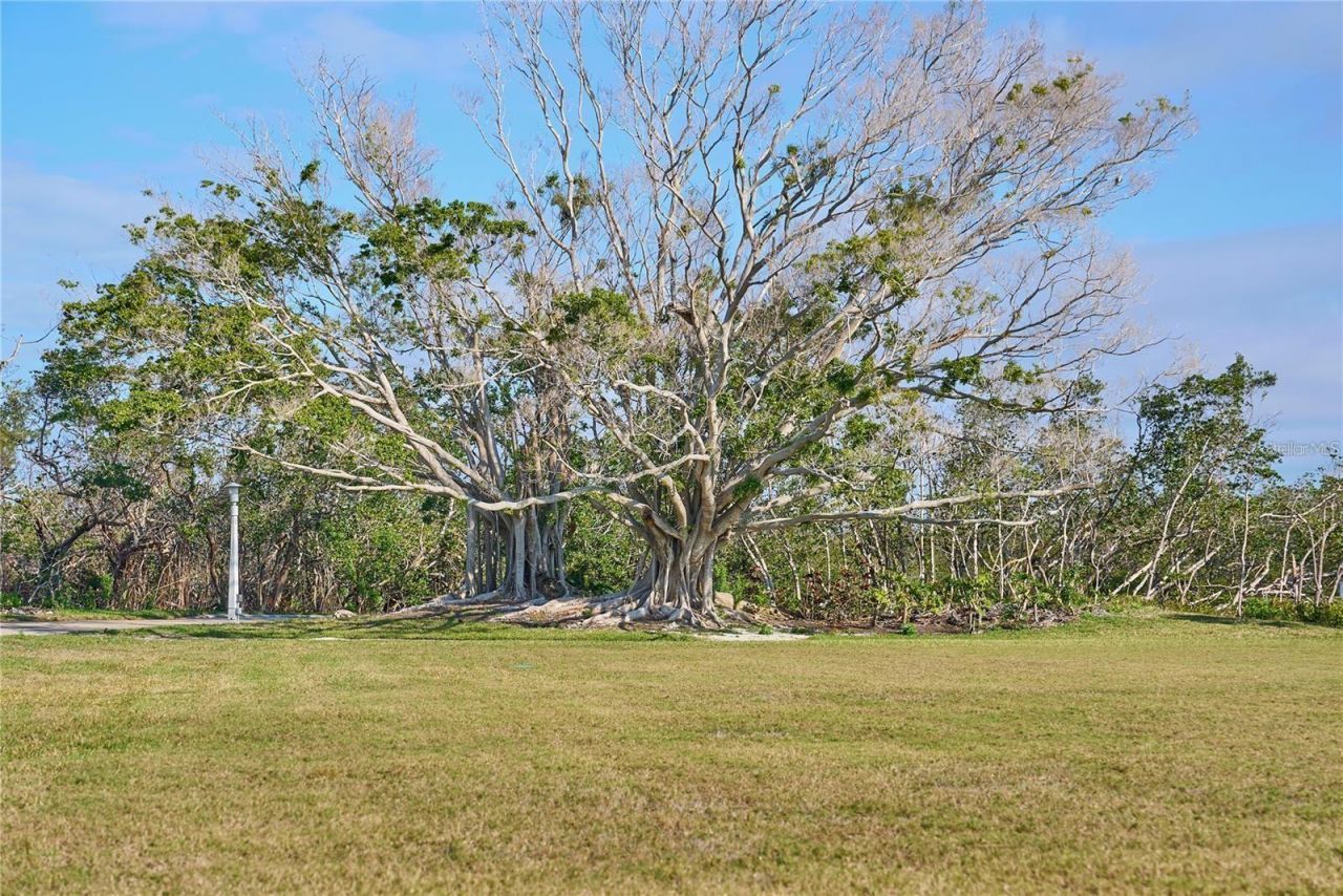 73 Tidy Island Boulevard, Unit 73, Bradenton, FL 34210 Photo