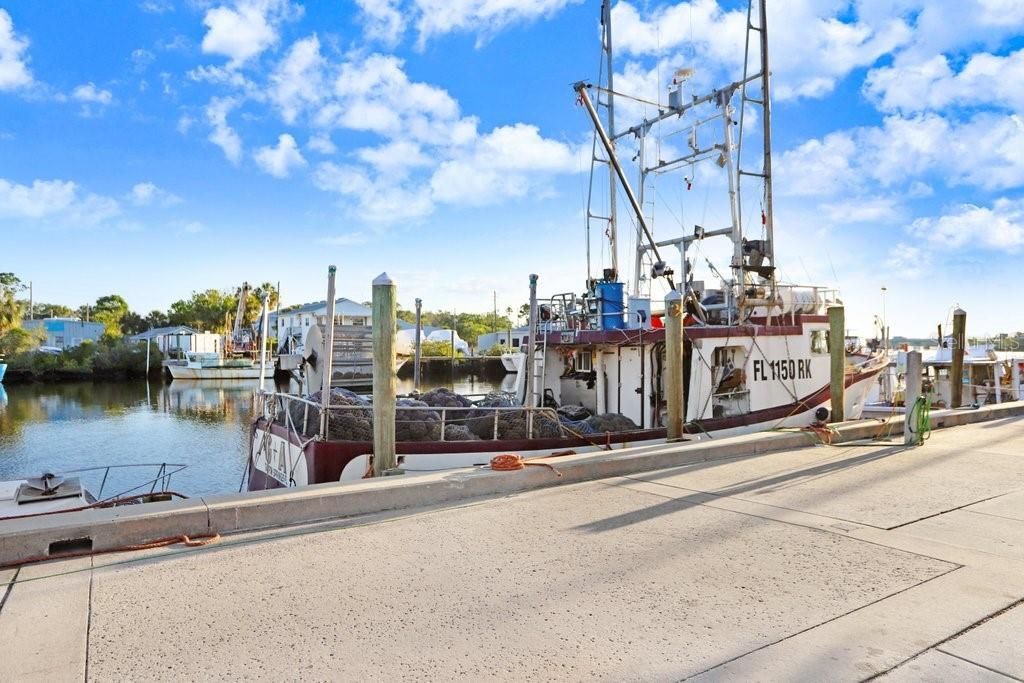 1161 Marina Drive, Tarpon Springs, FL 34689 Photo