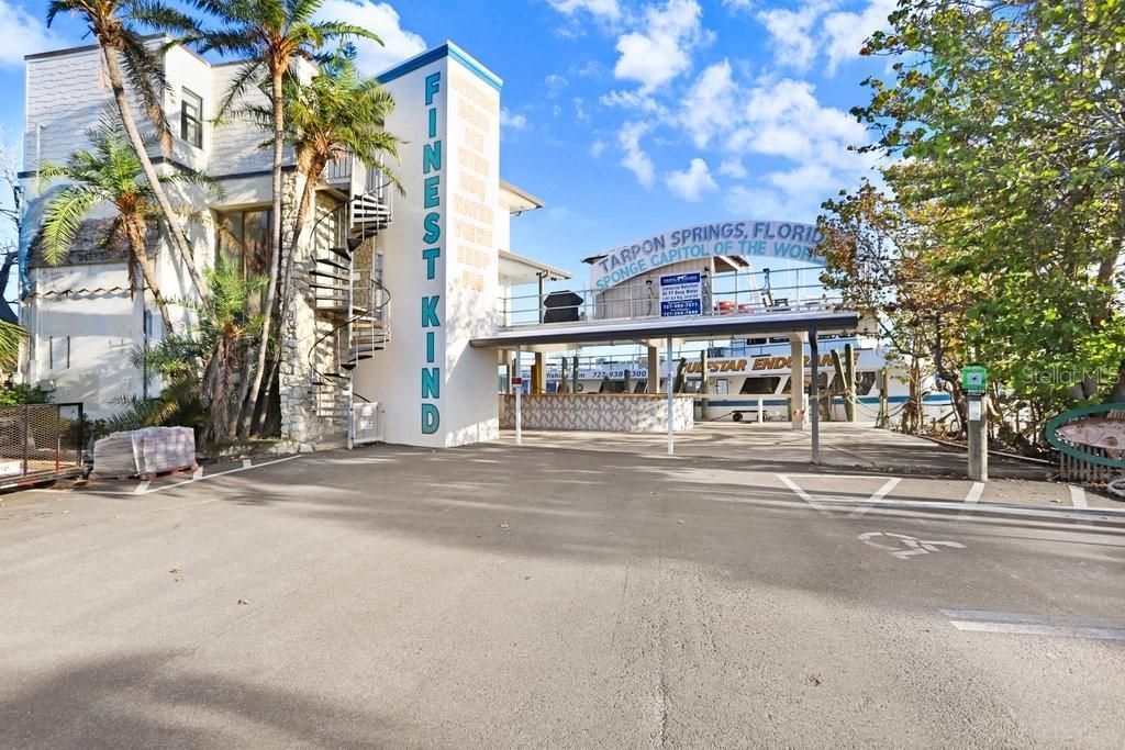 1161 Marina Drive, Tarpon Springs, FL 34689 Photo