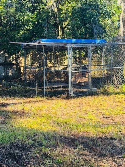 11417 SW 42nd Terrace, Webster, FL 33597 Photo
