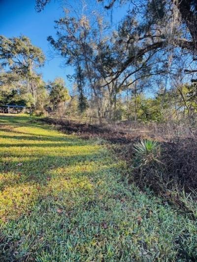 11417 SW 42nd Terrace, Webster, FL 33597 Photo