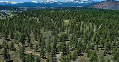 001 Martis Peak Road, Truckee, CA 96161 Photo