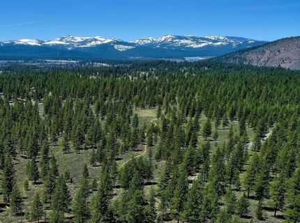 002 Martis Peak Road, Truckee, CA 96161 Photo