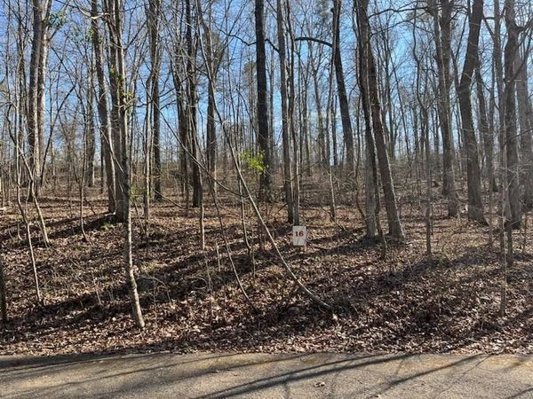 LOT 16 MOSS TRL, Counce, TN 38326