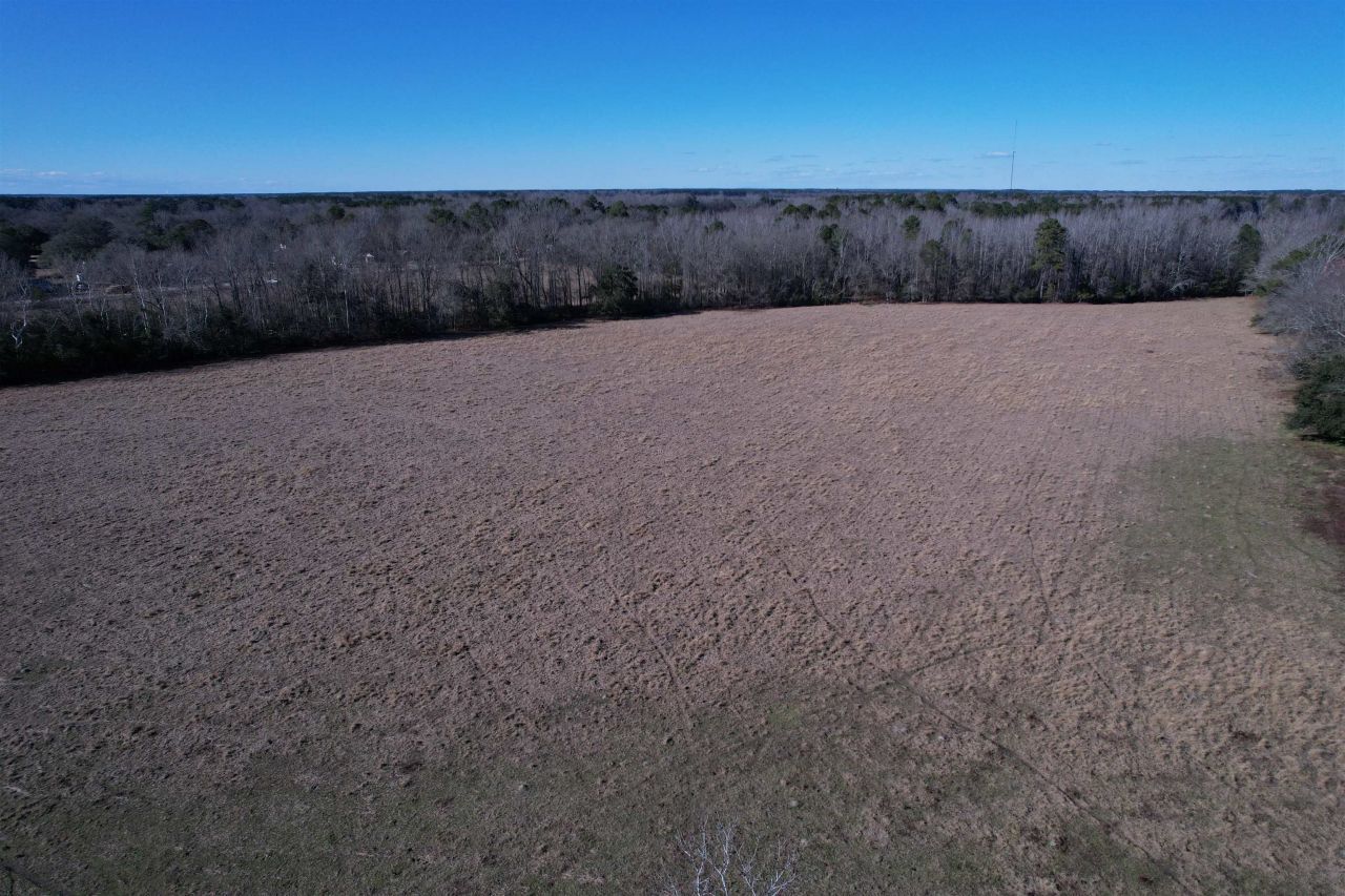 10686 Scott Ave Photo 14