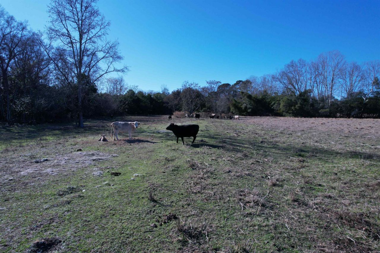 10686 Scott Ave Photo 15