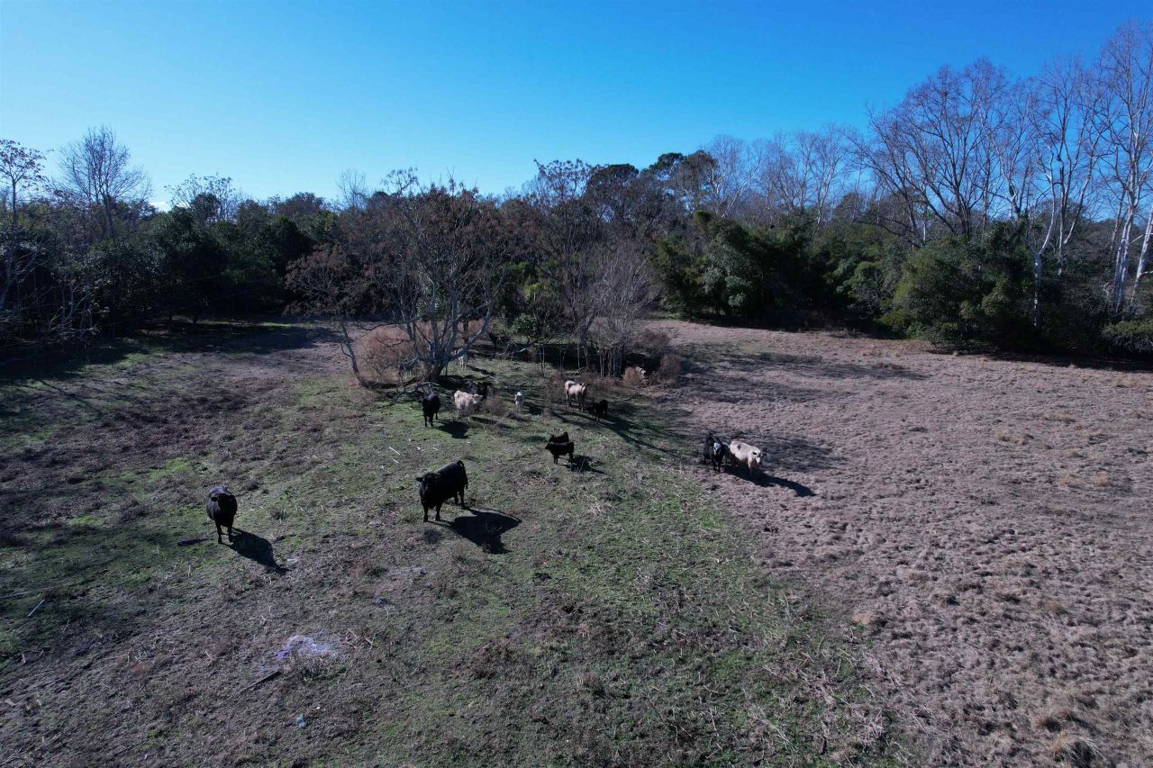 10686 Scott Ave Photo 16